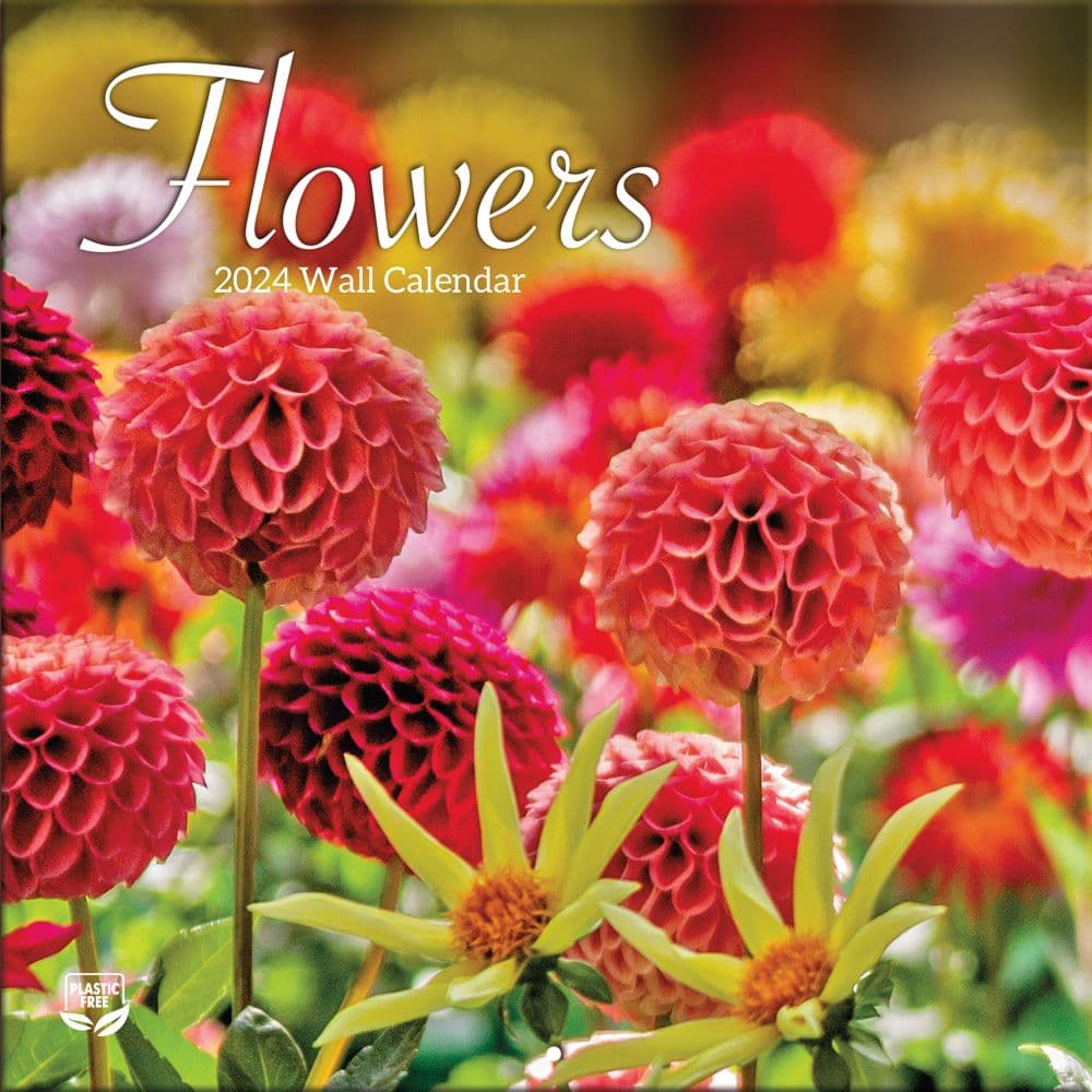 Flowers 2024 Mini Wall Calendar