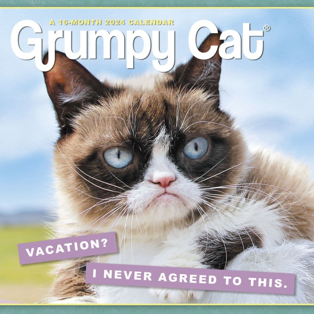 Grumpy Cat 2024 Mini Wall Calendar