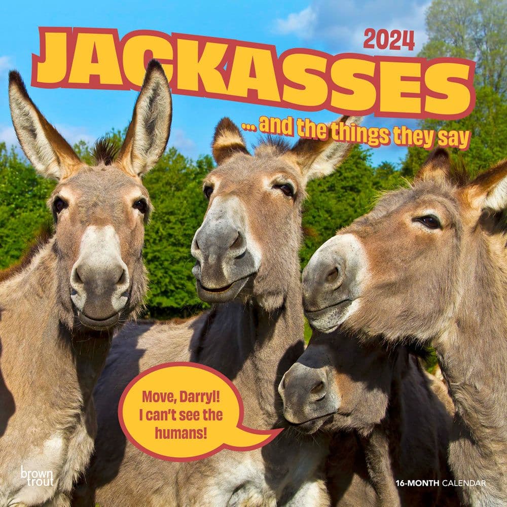 Jackasses 2024 Wall Calendar