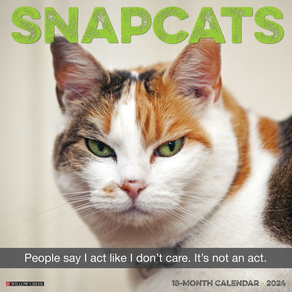 Snapcats 2024 Wall Calendar