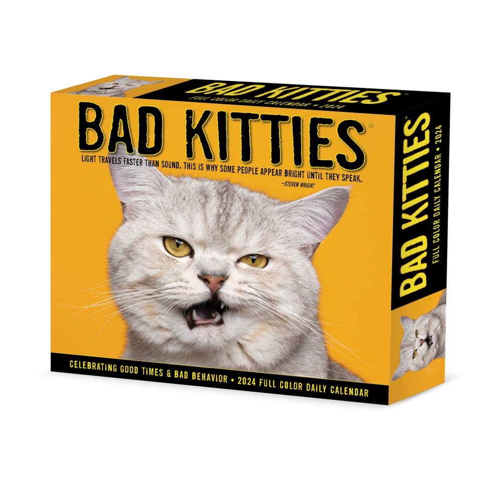 Bad Kitties 2024 Desk Calendar