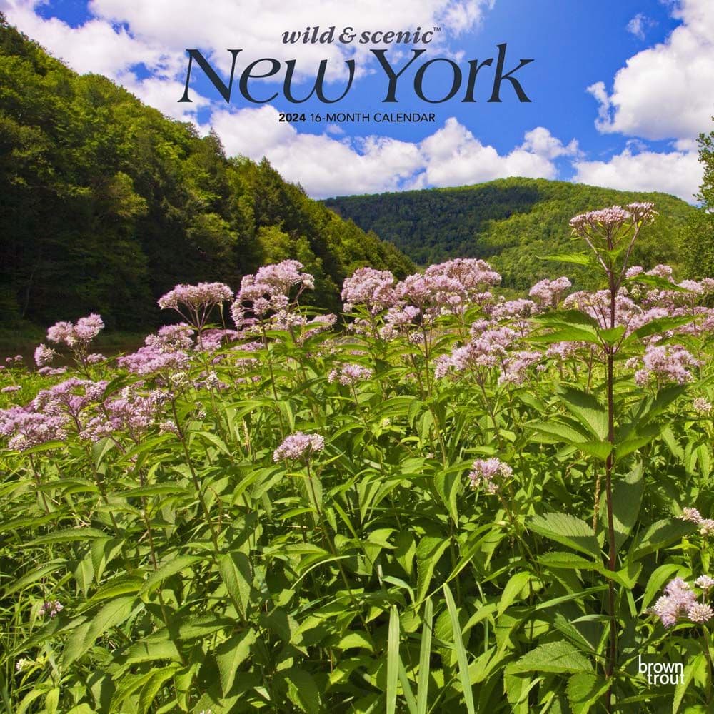 New York Wild and Scenic 2024 Wall Calendar