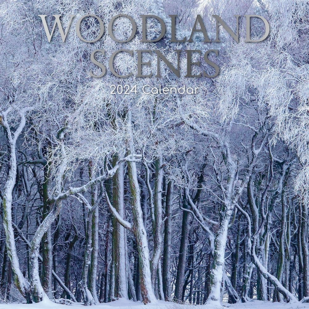 Woodland 2024 Wall Calendar