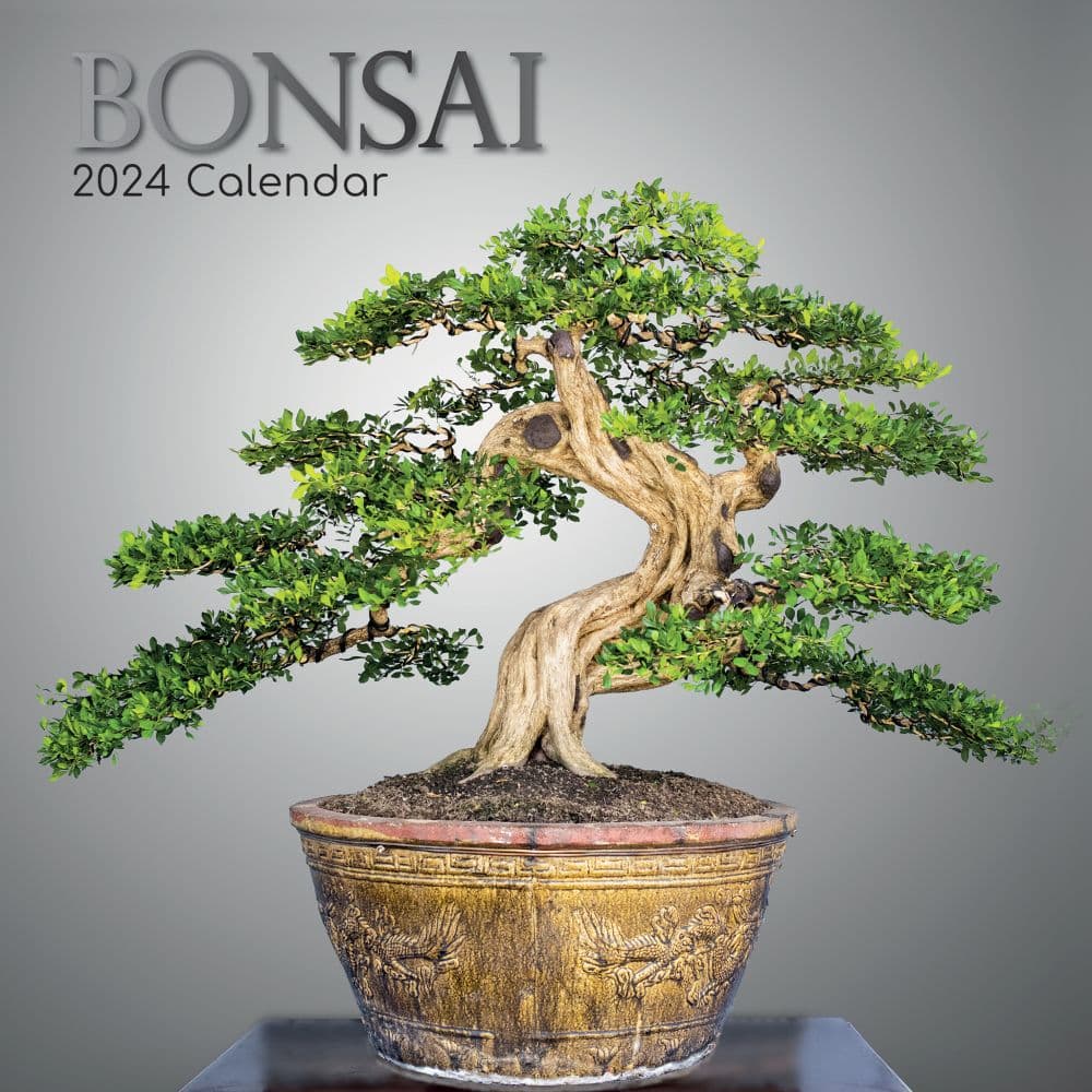 Bonsai 2024 Wall Calendar