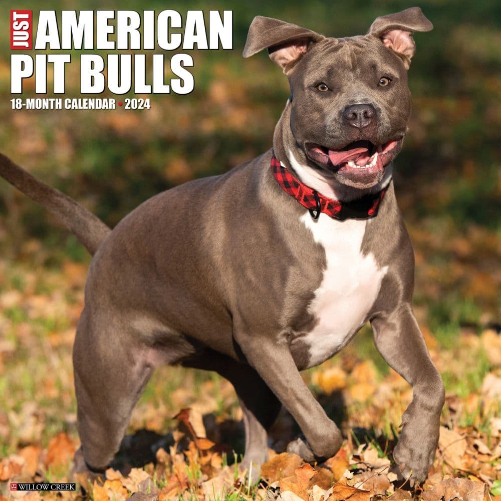 Just American Pit Bulls 2024 Wall Calendar