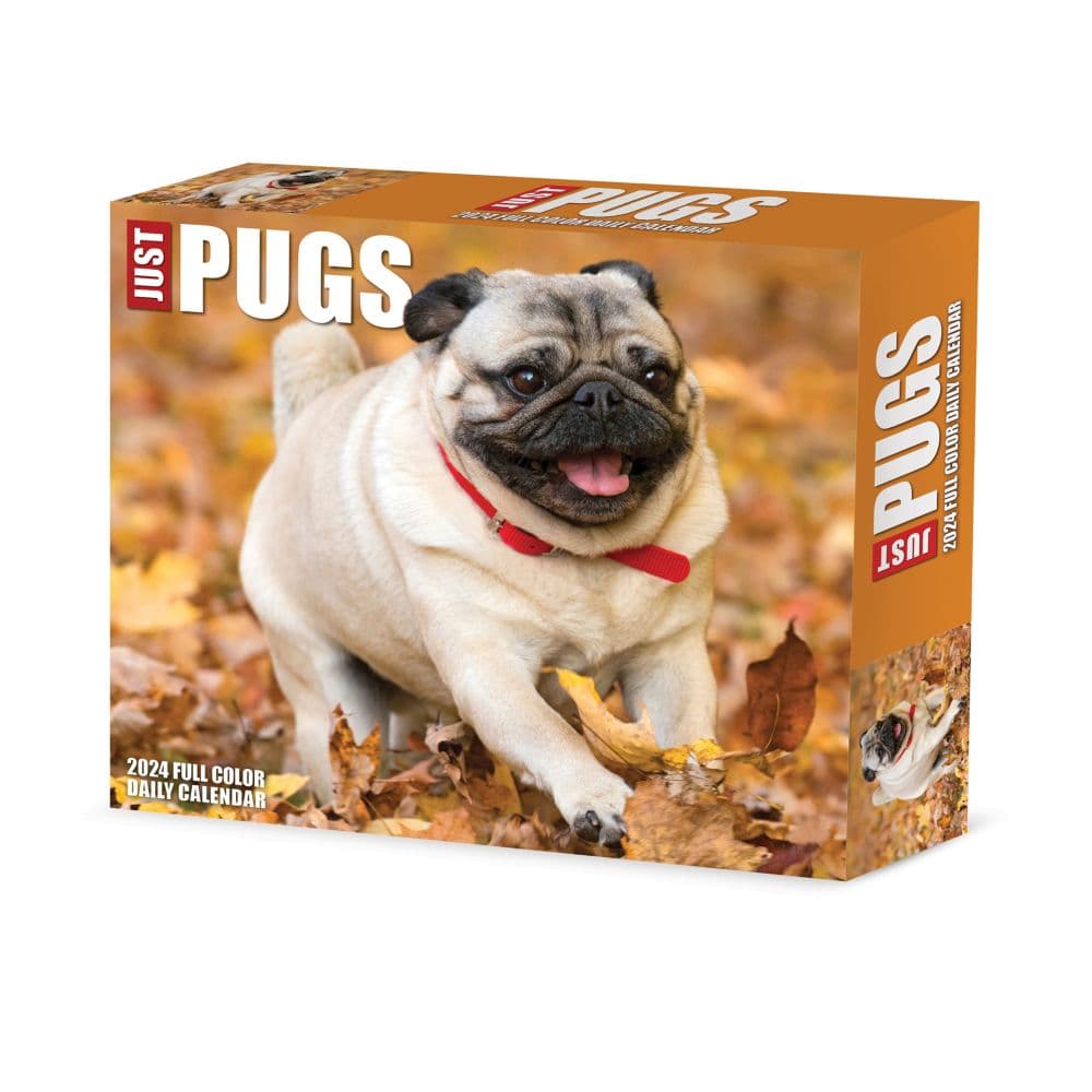 Just Pugs 2024 Desk Calendar