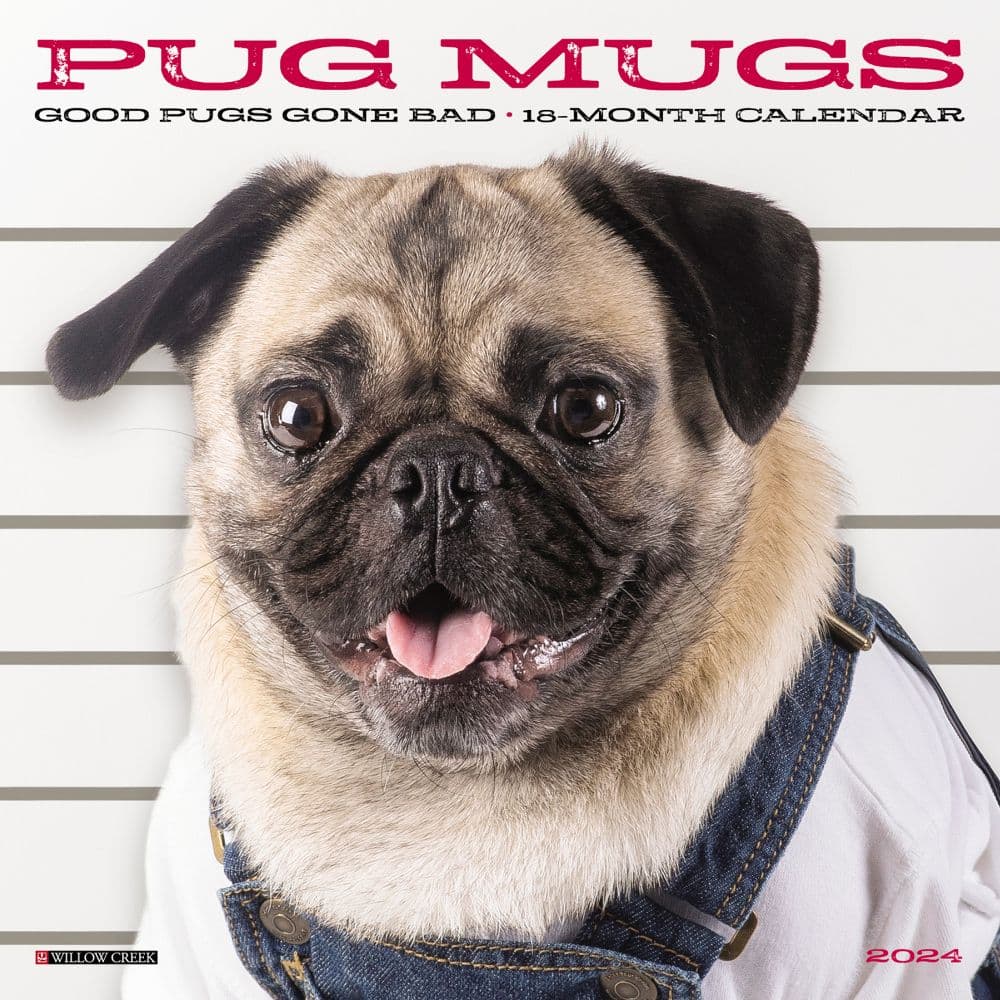 Pug Mugs 2024 Mini Wall Calendar