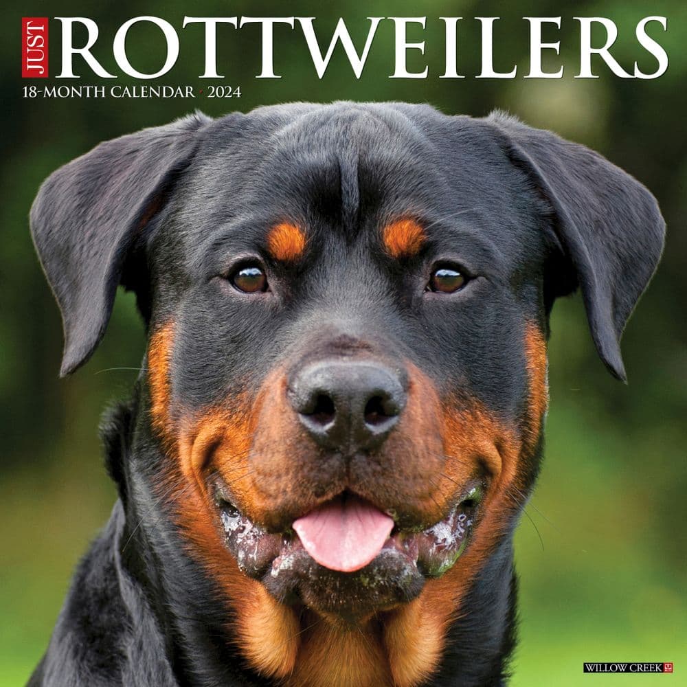 Just Rottweilers 2024 Wall Calendar