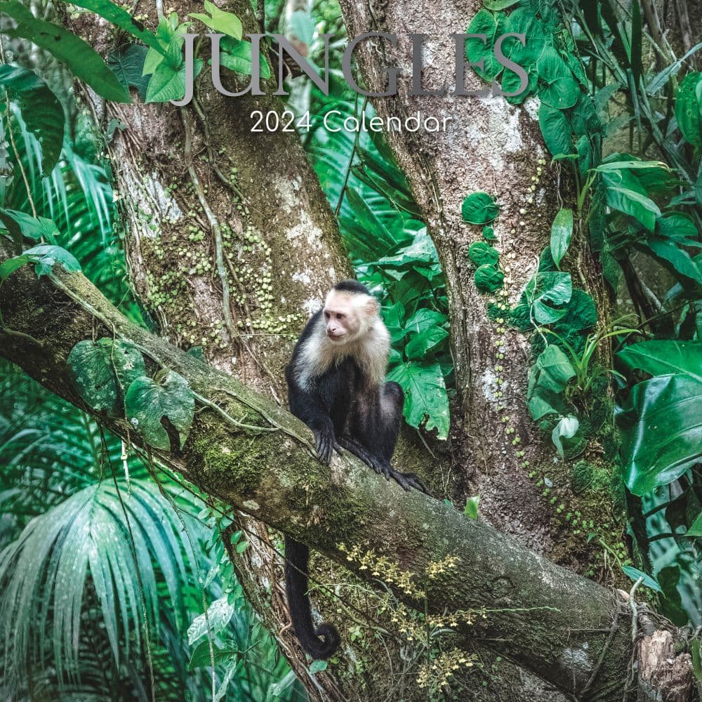 Jungles 2024 Wall Calendar