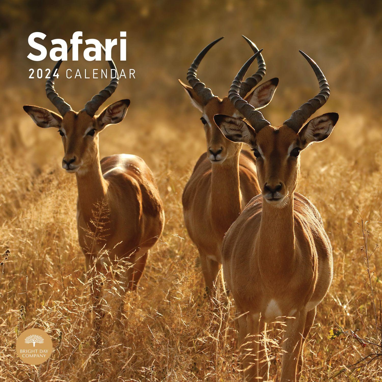 Safari 2024 Wall Calendar