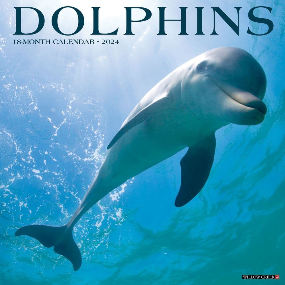 Dolphins 2024 Wall Calendar