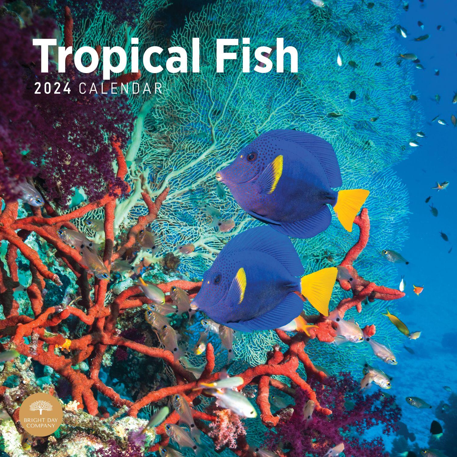 Tropical Fish 2024 Wall Calendar