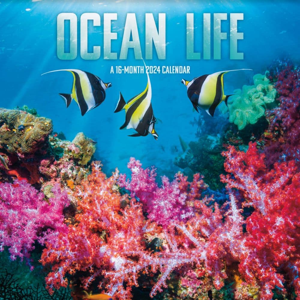 Ocean Life 2024 Wall Calendar