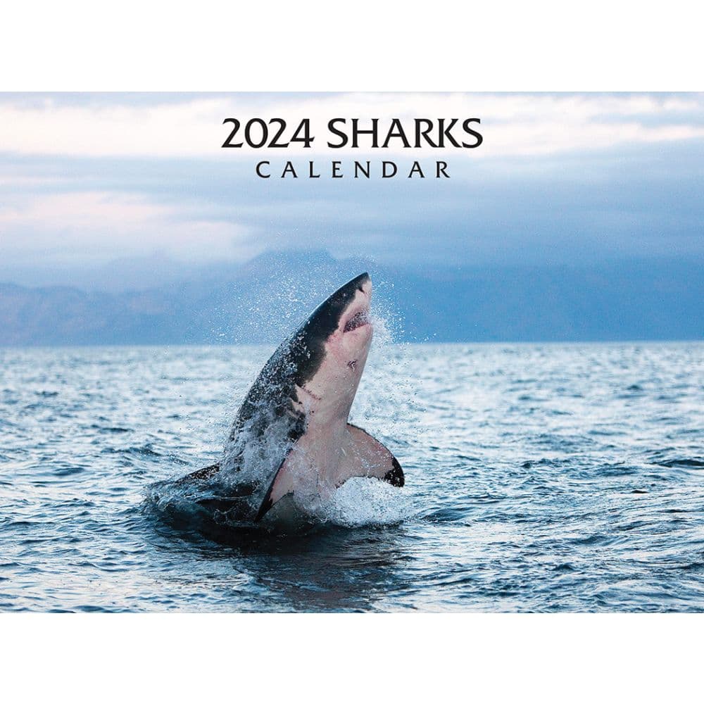 Sharks 2024 Wall Calendar