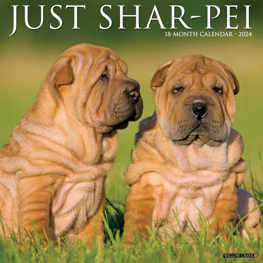 Just Shar Peis 2024 Wall Calendar