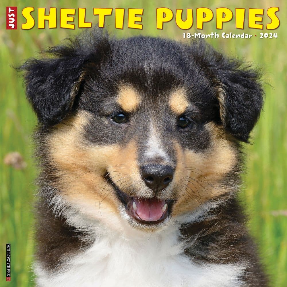 Just Sheltie Puppies 2024 Wall Calendar