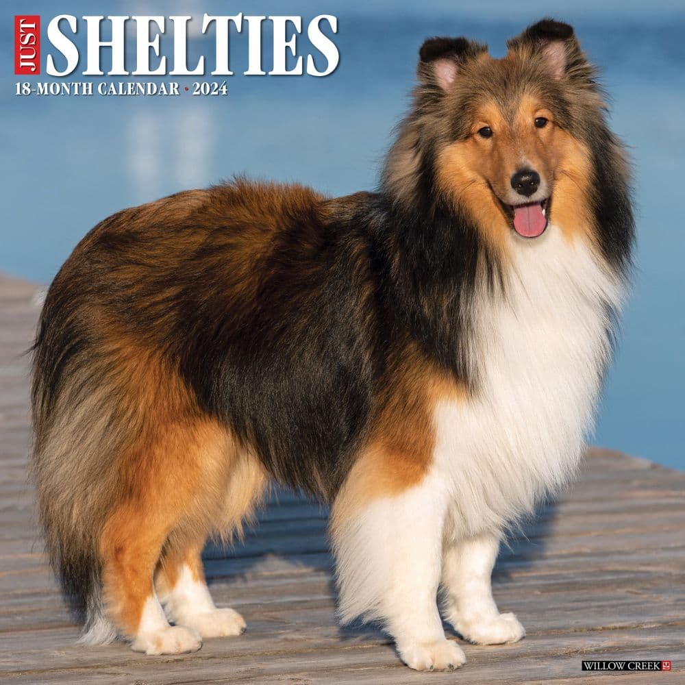 Just Shelties 2024 Wall Calendar