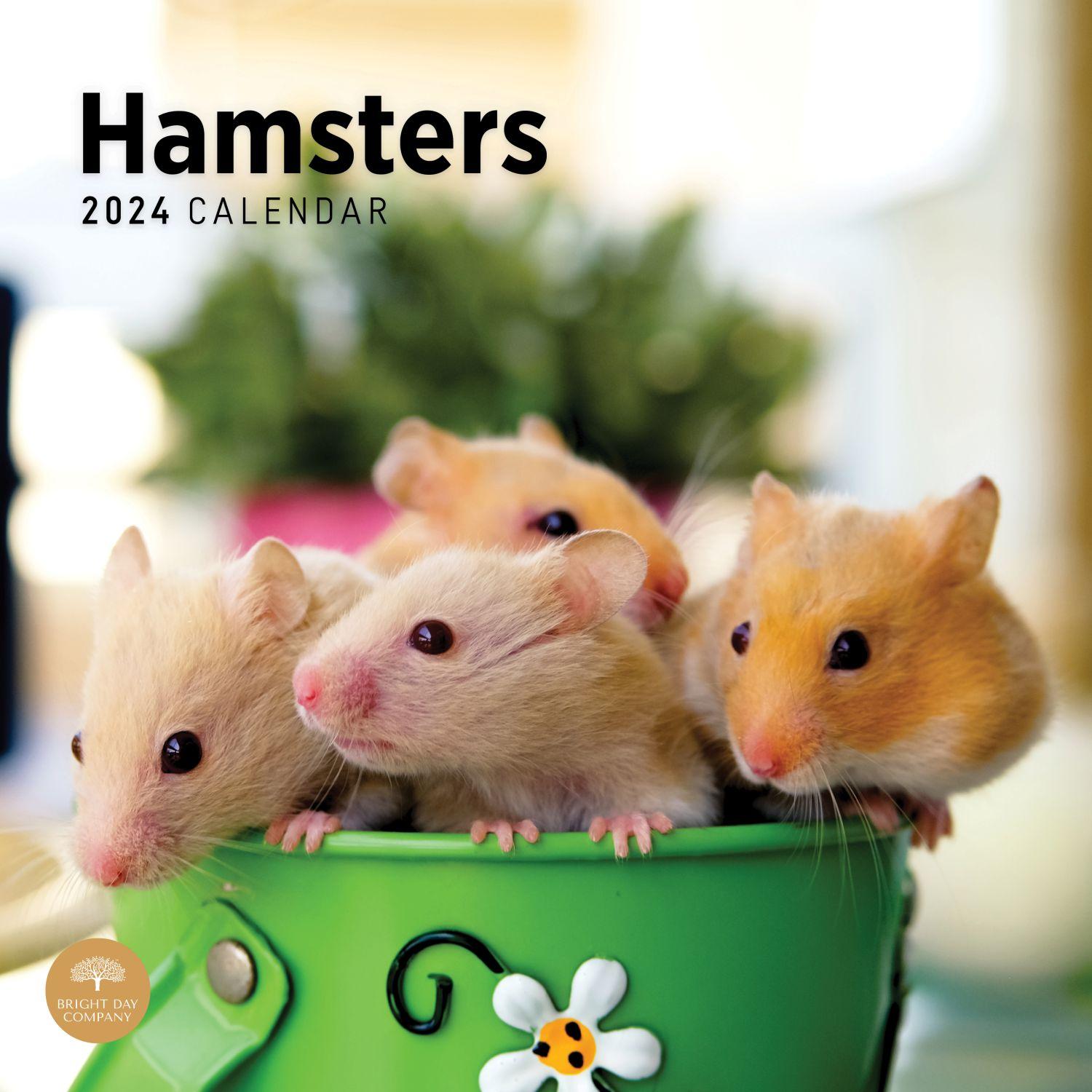 Hamsters 2024 Wall Calendar