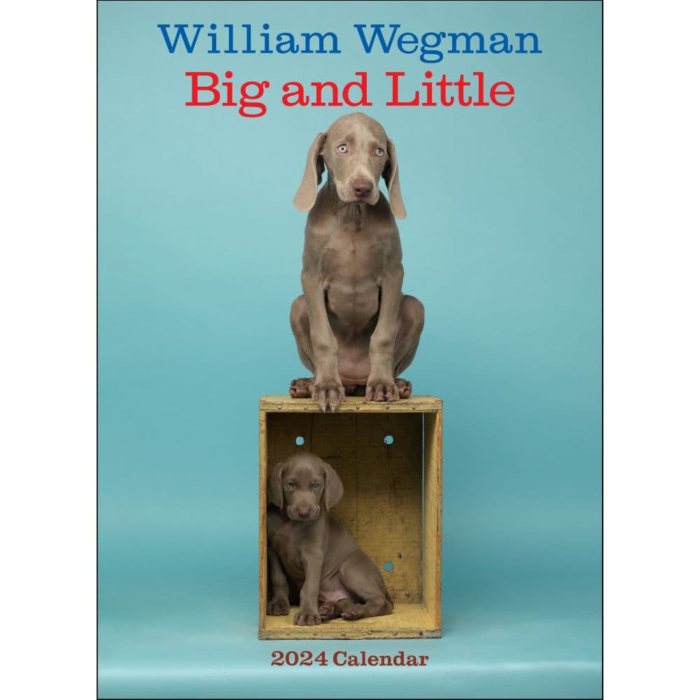 Wegman Mans Best Friend 2024 Wall Calendar