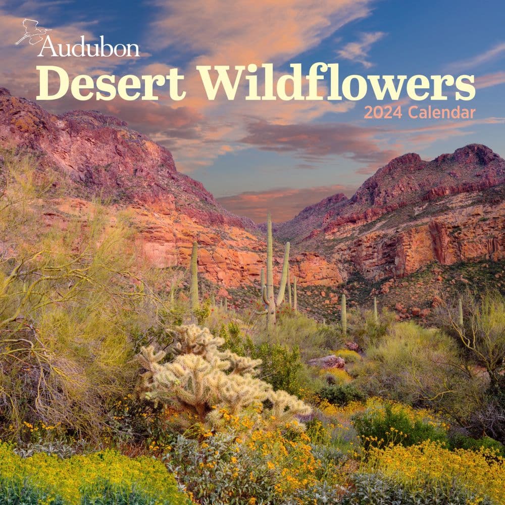 Audubon Desert Wildflowers 2024 Wall Calendar