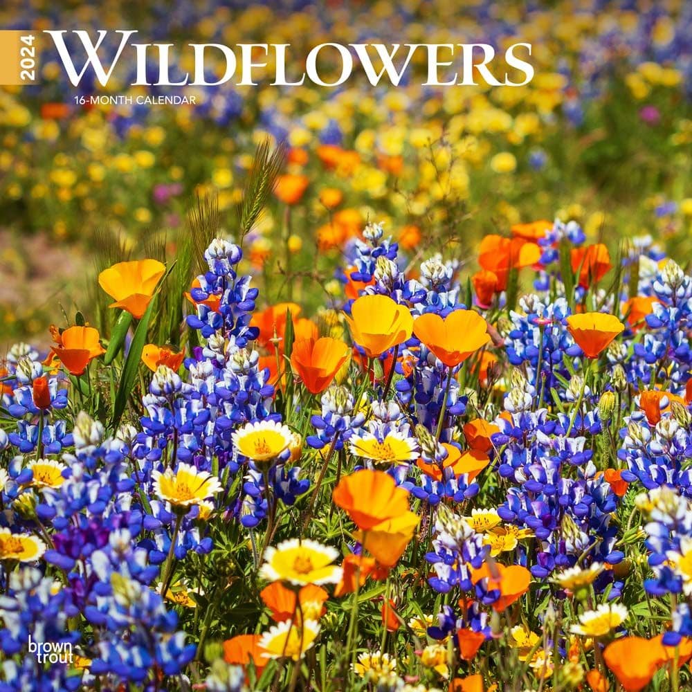 Wildflowers  2024 Wall Calendar