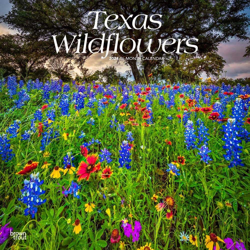 Texas Wildflowers 2024 Wall Calendar