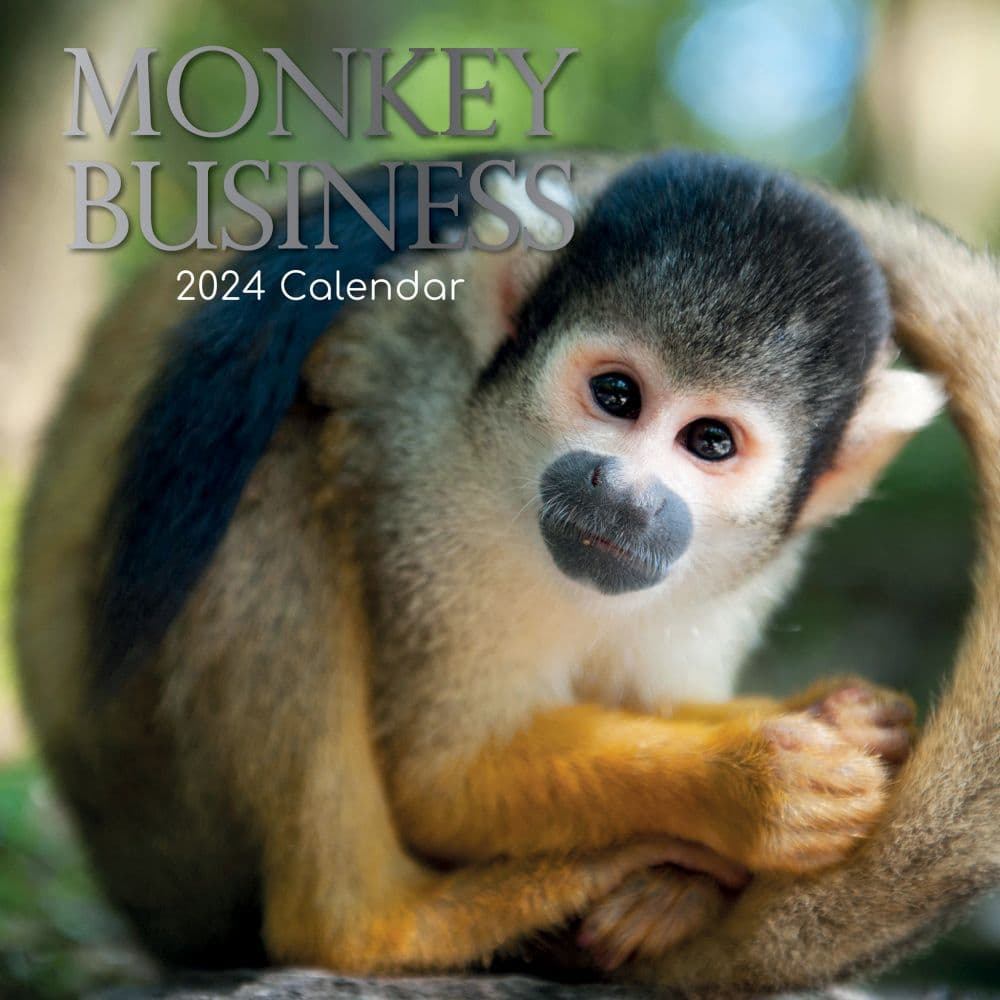 Monkey Business 2024 Wall Calendar