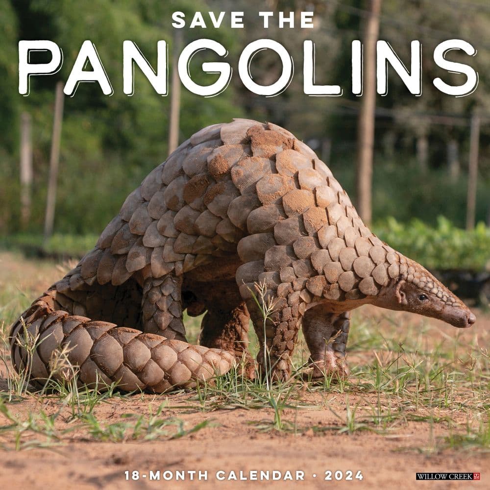 Pangolins 2024 Wall Calendar