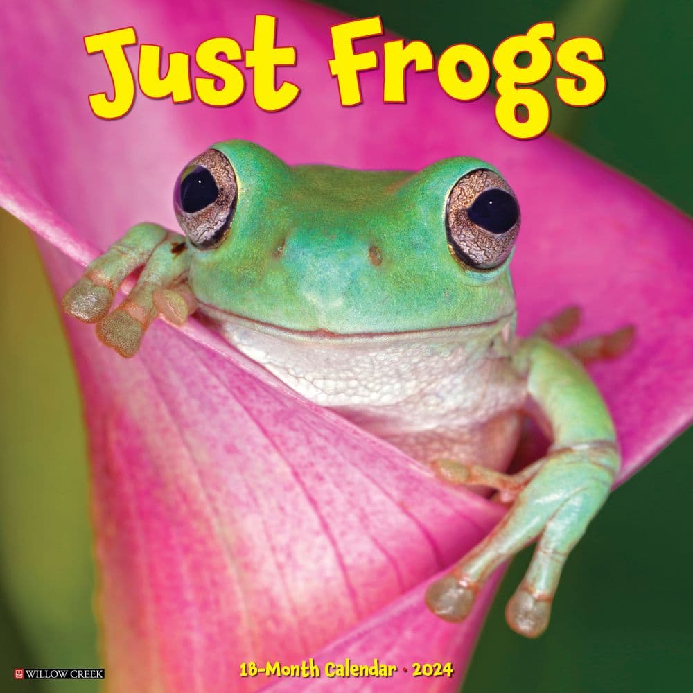 Frogs 2024 Wall Calendar