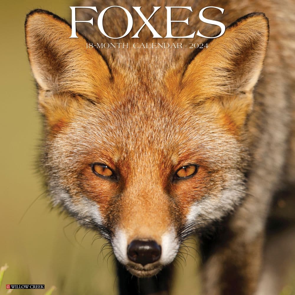 Foxes 2024 Wall Calendar