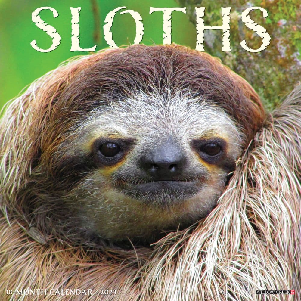 Sloths 2024 Wall Calendar