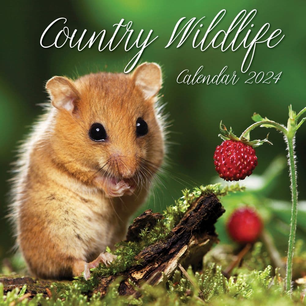 Country Wildlife 2024 Wall Calendar