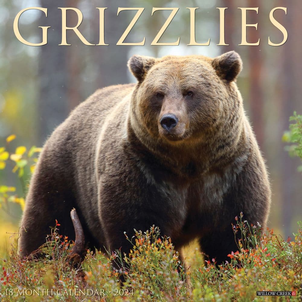 Grizzlies 2024 Wall Calendar