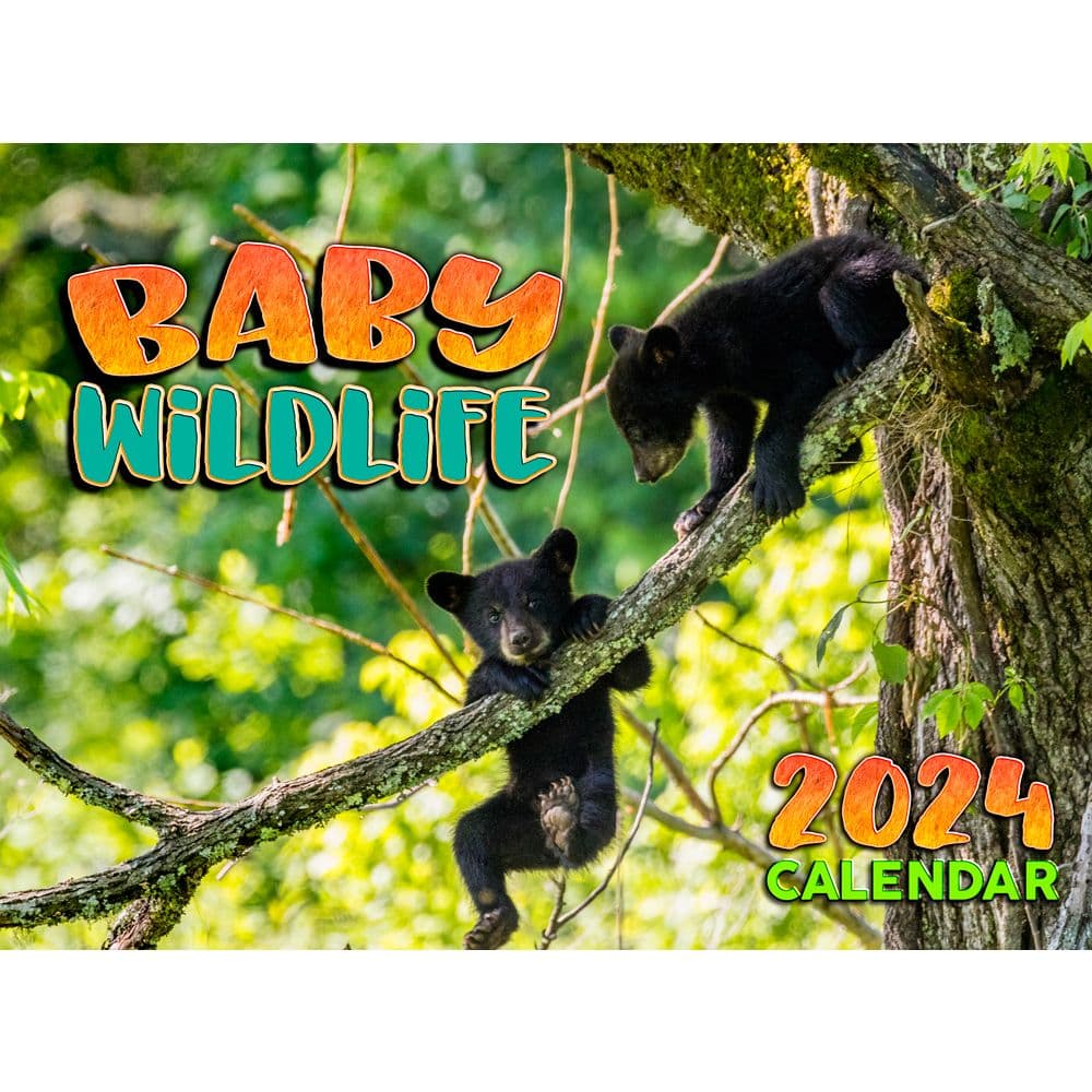 Baby Wildlife 2024 Wall Calendar