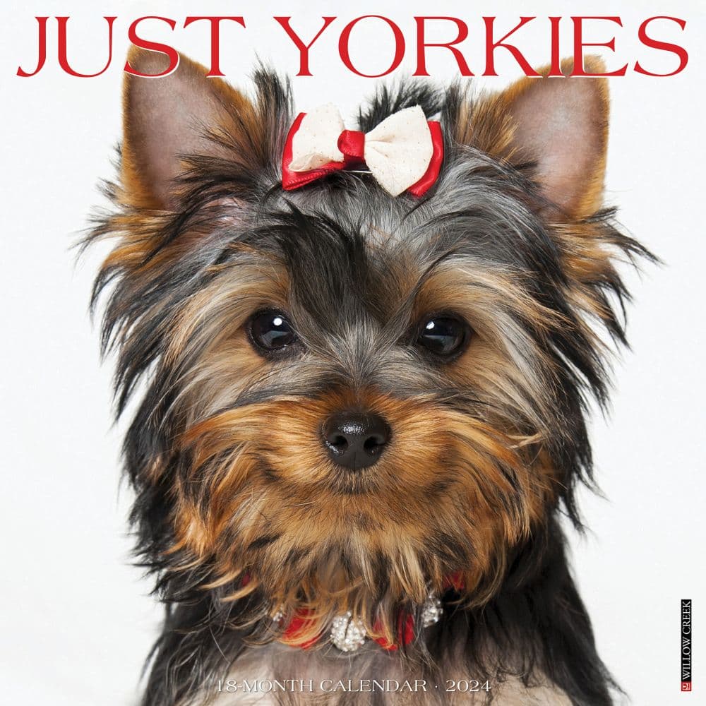 Just Yorkies 2024 Wall Calendar