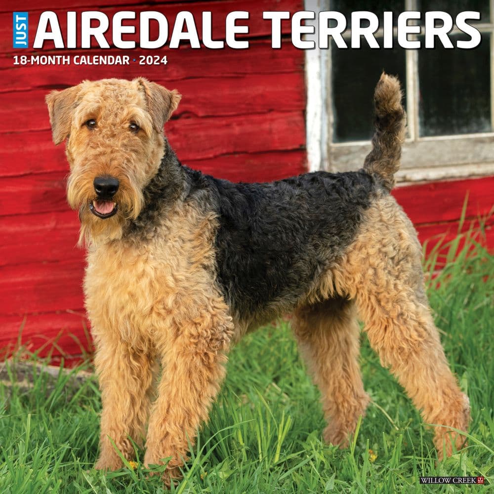 Just Airedale Terriers 2024 Wall Calendar