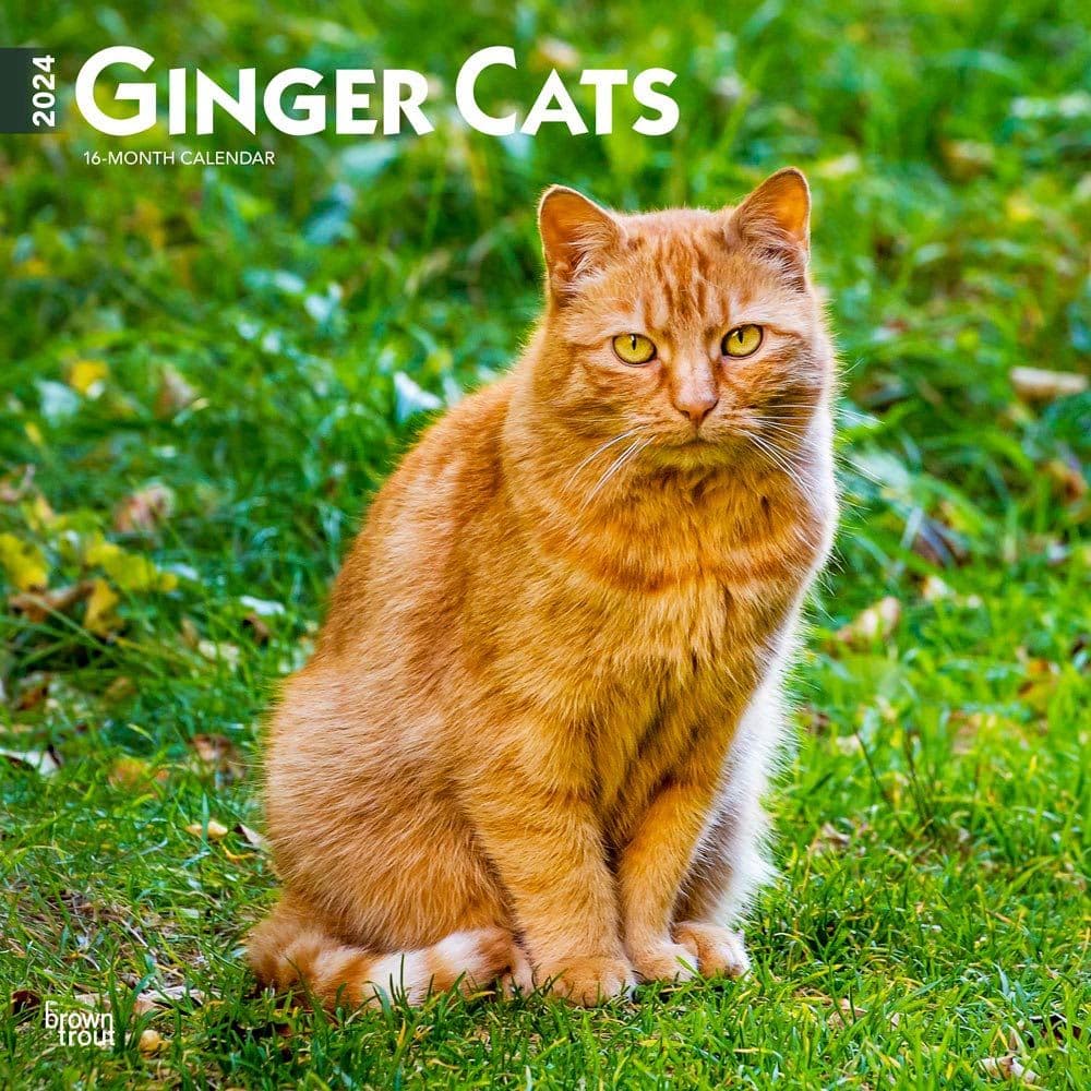 Ginger Cats 2024 Wall Calendar