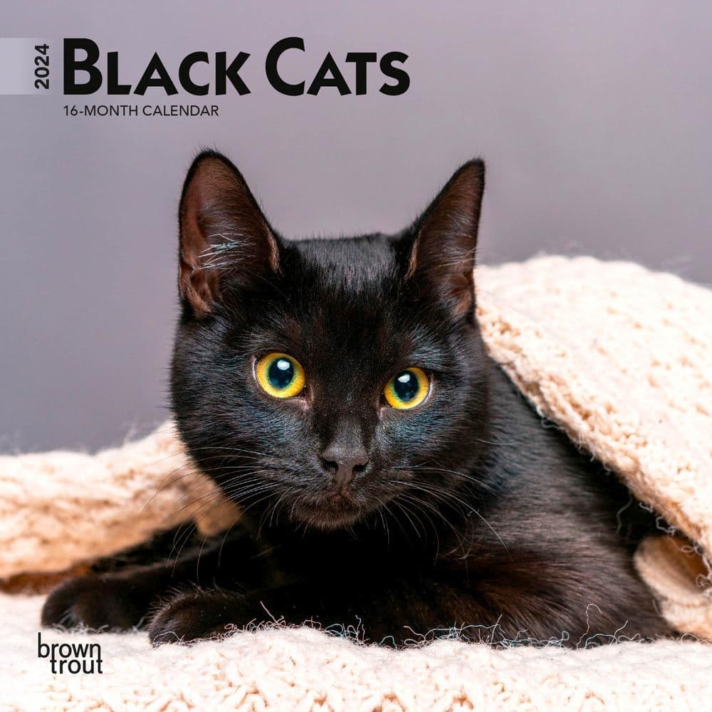 Black Cats 2024 Mini Wall Calendar