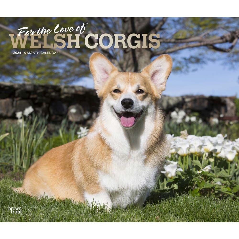 Welsh Corgis Deluxe 2024 Wall Calendar