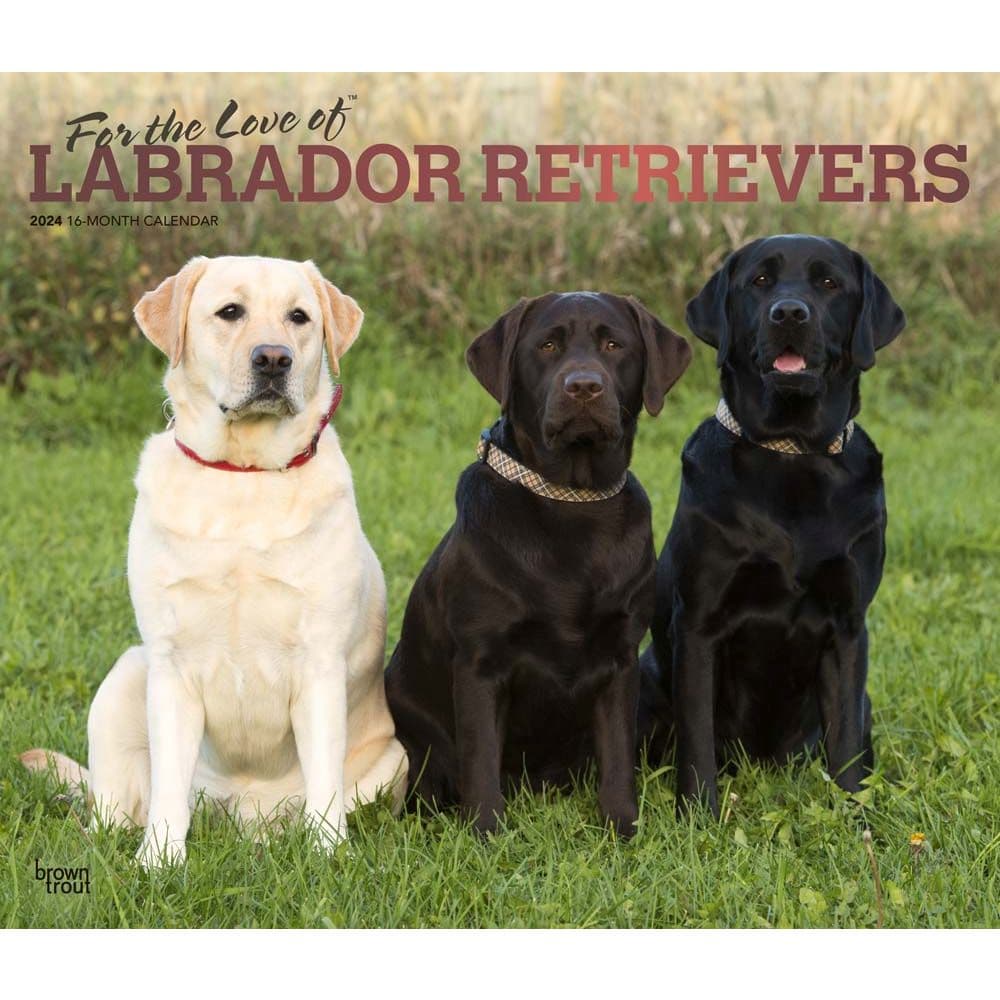 Lab Retriever Deluxe 2024 Wall Calendar