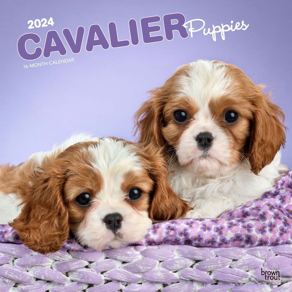 Cavalier King Charles Puppies 2024 Wall Calendar