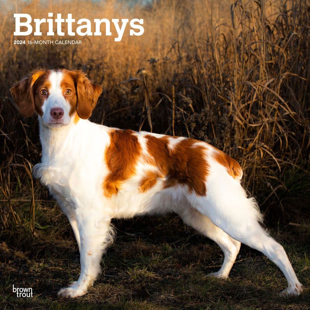 Brittanys 2024 Wall Calendar