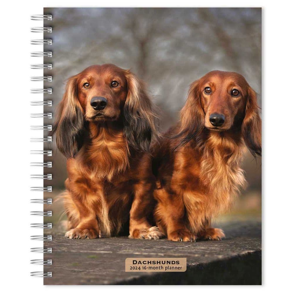 Dachshunds 2024 Planner