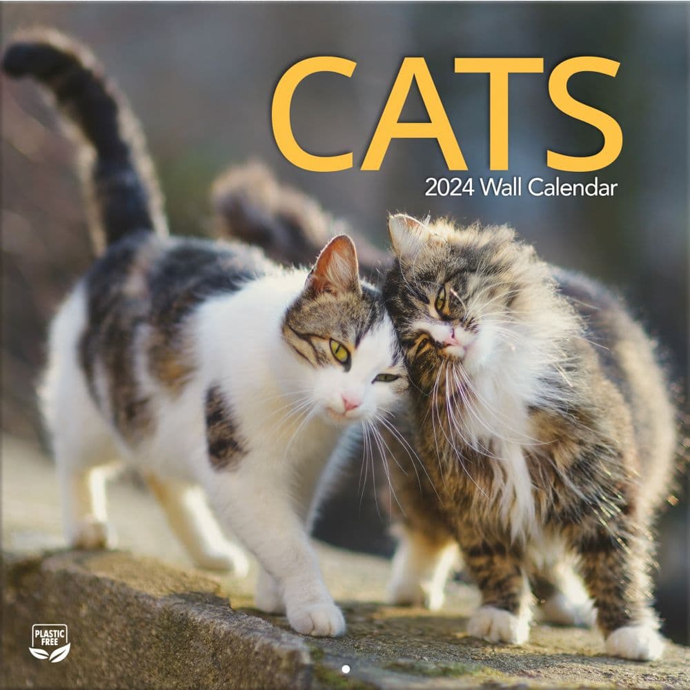 Cats Photo 2024 Wall Calendar