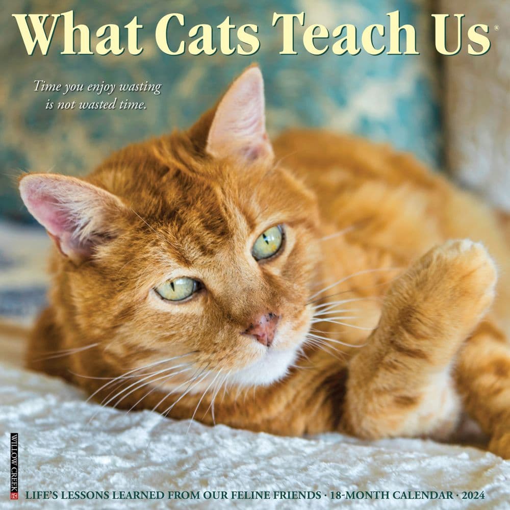 What Cats Teach Us 2024 Wall Calendar