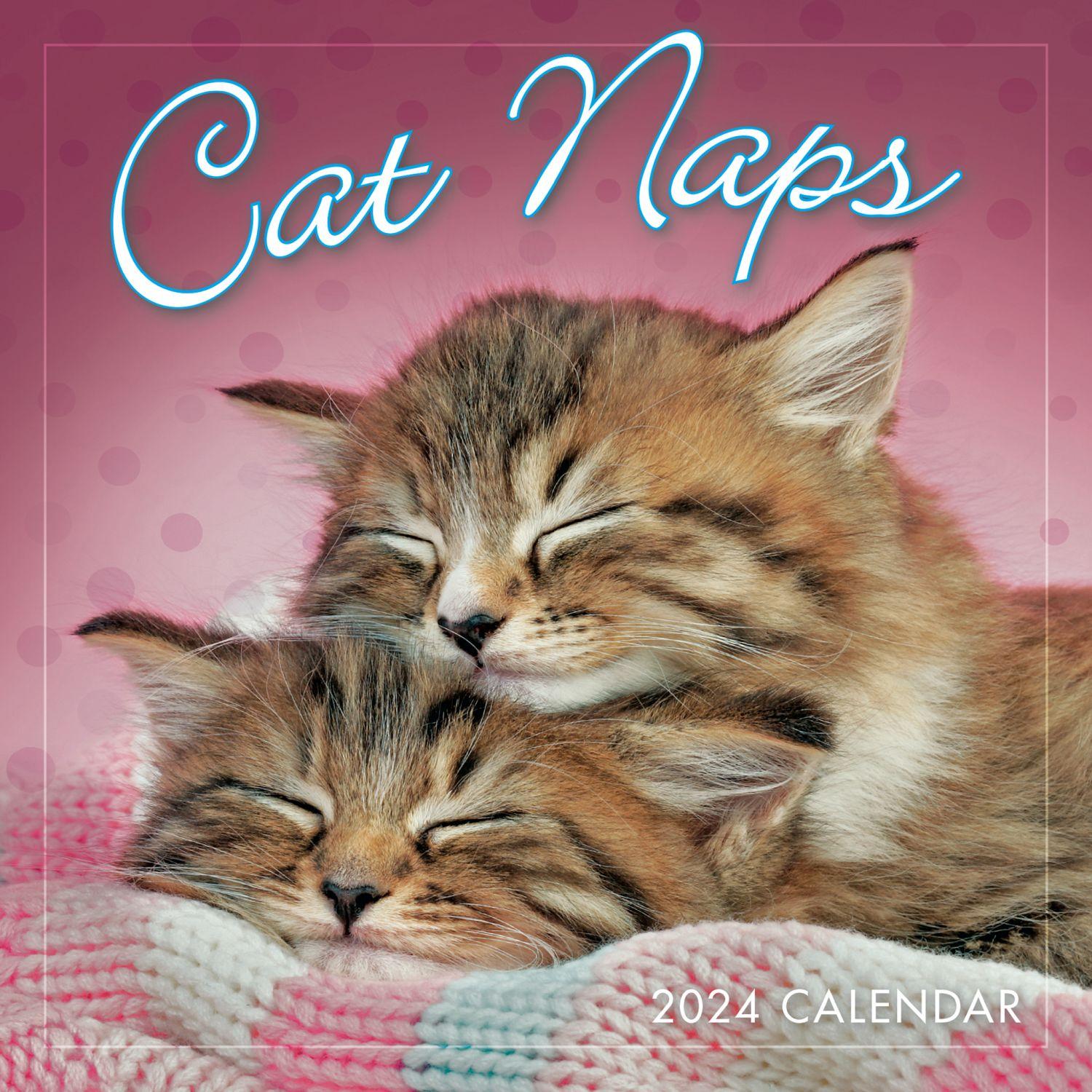 Cat Naps 2024 Mini Wall Calendar