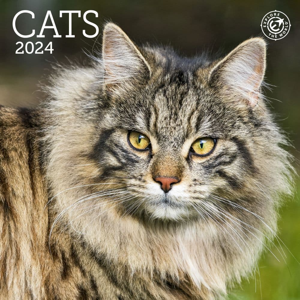 Cats 2024 Mini Wall Calendar