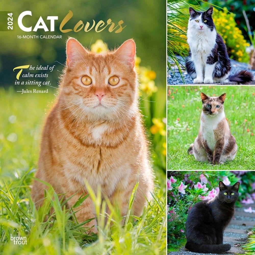 Cat Lovers 2024 Wall Calendar