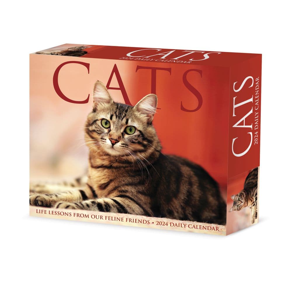 Cats 2024 Desk Calendar