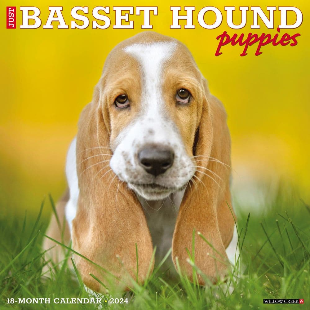 Just Basset Hound Puppies 2024 Wall Calendar